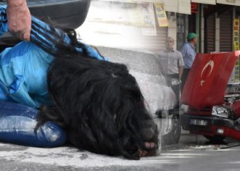 Kaza yapan genç kız, krize girip otomobilini yakmaya kalkıştı