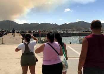 Marmaris’te orman yangını
