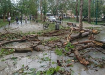 İBB’nin afet bilançosu: 228 ağaç devrildi, 88 çatı uçtu