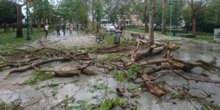 İBB’nin afet bilançosu: 228 ağaç devrildi, 88 çatı uçtu