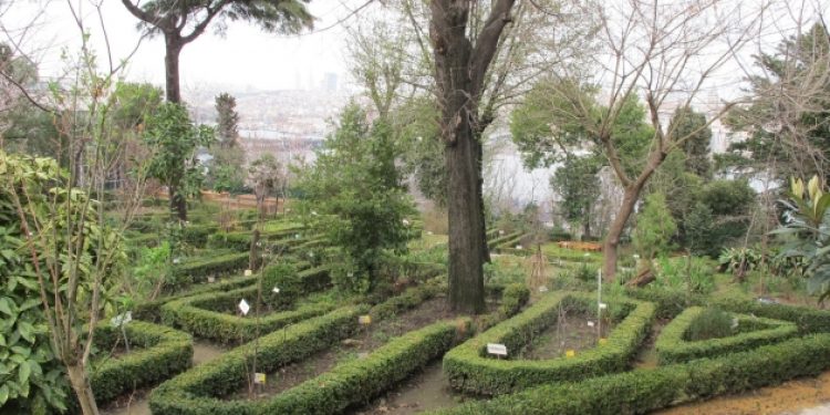 Botanik Bahçesi müftülüğe devredildi