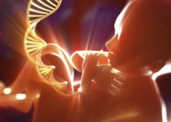 ABD ilk kez bebek DNA’sına müdahale etti