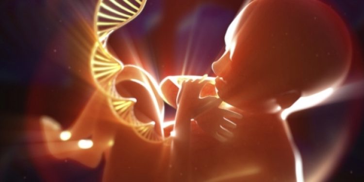 ABD ilk kez bebek DNA’sına müdahale etti