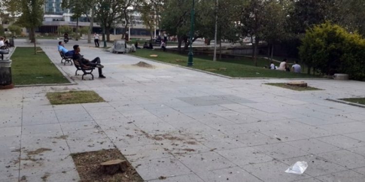 Gezi Parkı’ndaki ağaçlar sessiz sedasız kesildi