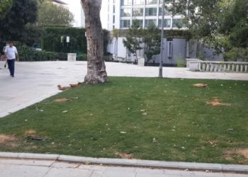 AKP yine Gezi Parkı’ndaki ağaçları kesmeye başladı!