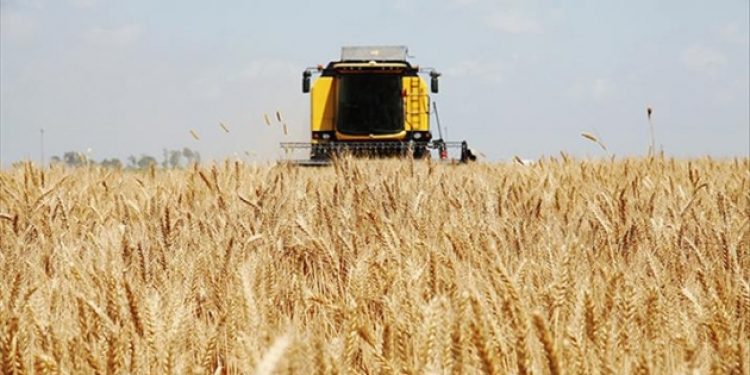 Tarım arazilerimiz ile ilgili endişelendiren istatistikler!