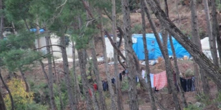 Fuhuş çadırları kurdular öğrencilere indirim yapıyorlar