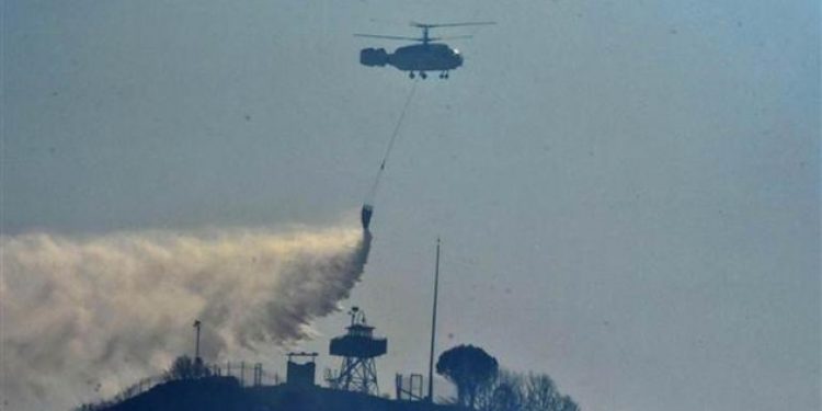 İzmir’de korkutan yangın! Havadan ve karadan müdahale ediliyor
