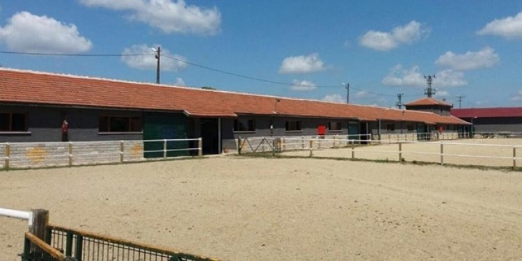 Silivri’de kurtlar şehire indi