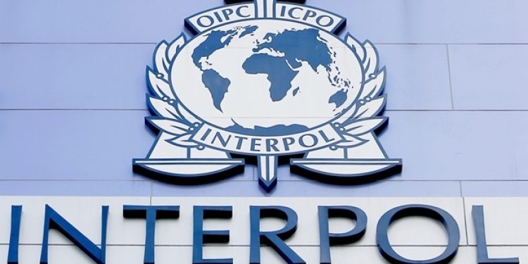Interpol’de Türkiye revizyonu