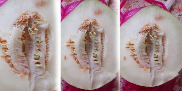 ​Bu kavun görenleri şaşırttı