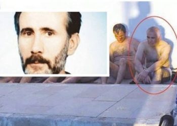 Yeşil ve Öksüz benzerliği