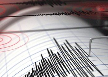 Muğla’da 4.8 büyüklüğünde deprem oldu