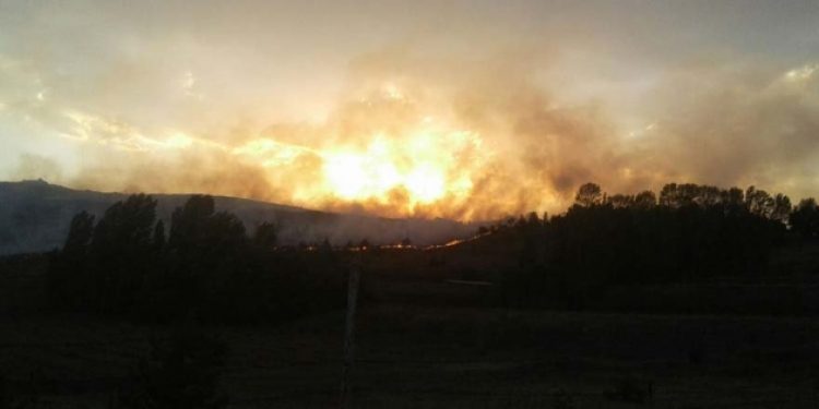 Askeri bölgede orman yangını: 17 asker hastaneye kaldırıldı