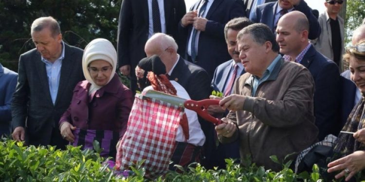 Yargının tarafsız olmasını isteyip ihsas-ı reyde bulundu!