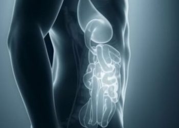 ​İnsan vücudunun içini gösterebilen kamera geliştirildi