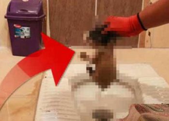 Tuvaletten gelen sese koştu, gördüğü manzara karşısında şoke oldu!