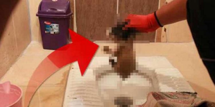 Tuvaletten gelen sese koştu, gördüğü manzara karşısında şoke oldu!