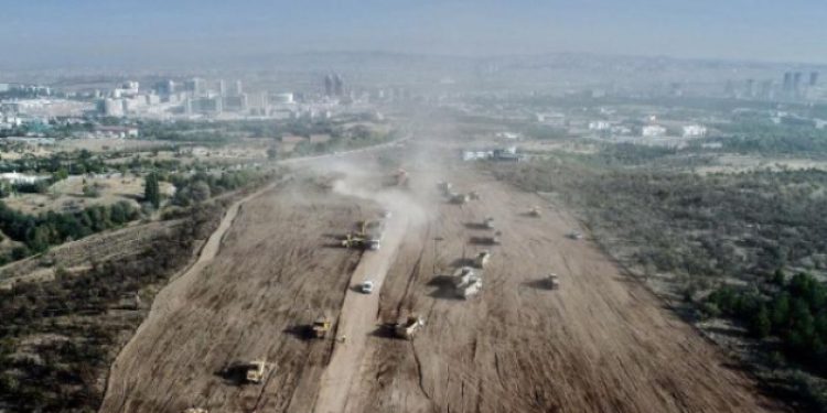 ODTÜ ormanı katliamının detayları ortaya çıktı!