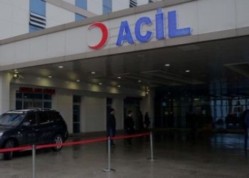 ‘Güzel hatun otu’ 6 kişiyi zehirledi