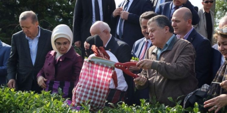 Yargıda emeklilik yaşı değişiyor