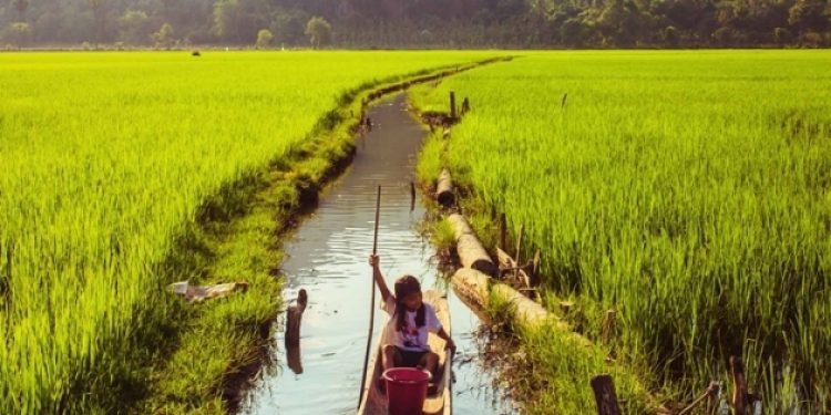 Myanmar’da olanlara sıradışı bakış