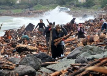 Rize’de selin getirdiği odunlar için seferber oldular