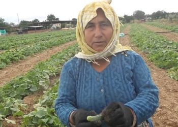 Yüzde 20 zam geliyor