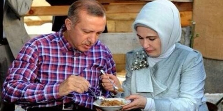 Saray ahalisi için çiftlik inşa ediliyor