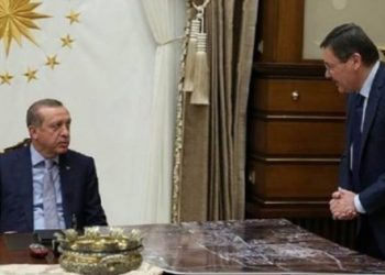 Gökçek olayı bir suni kriz mi?