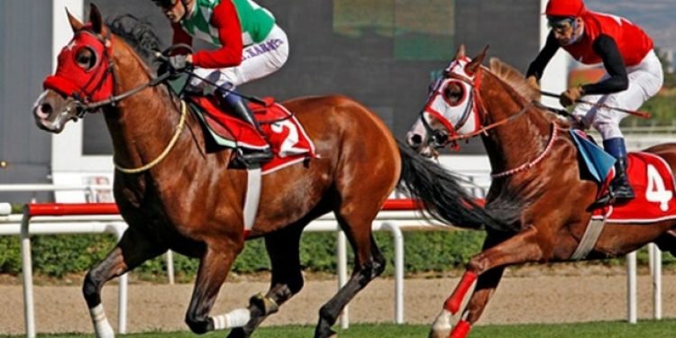 Varlık Fonu Türkiye Jokey Kulübü’nün de içini boşalttı