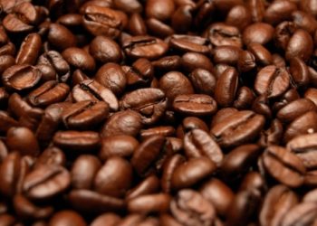 12 yıl araştırdılar bakın kahve neye iyi geliyor