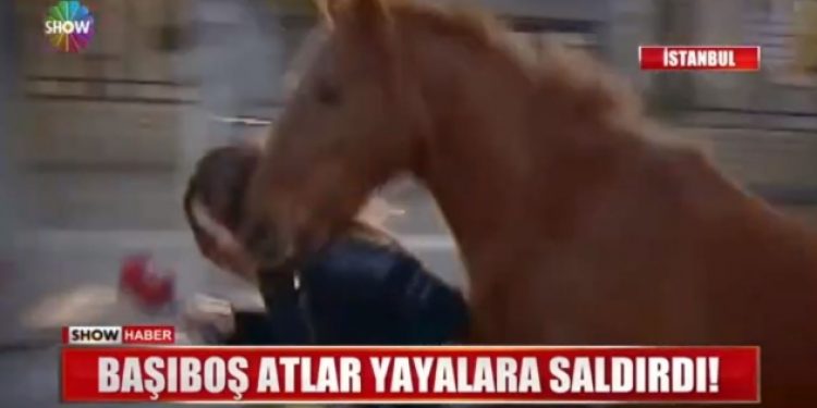 O ata esnaf sahip çıktı: Şimdiye kadar bir zararını görmedik