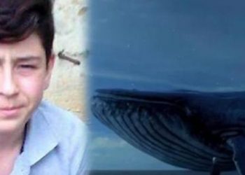 17 yaşındaki genç ‘Mavi Balina’ oyunu sebebiyle intihar etti