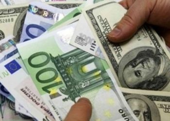 Euro tarihi rekor seviyede