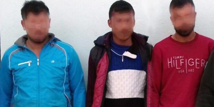 Güvercinlerin kafasını koparan Suriyelilerin cezası belli oldu