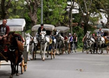 Adalar’da ruam karantinası