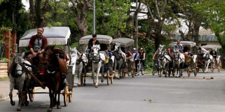 Adalar’da ruam karantinası