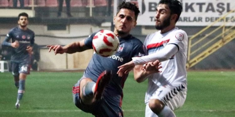 Kartal Manisa’da turları