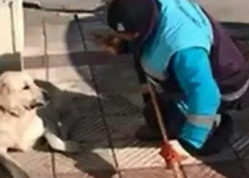 Sokak köpeğine şarkı söyleyen temizlik işçisi konuştu