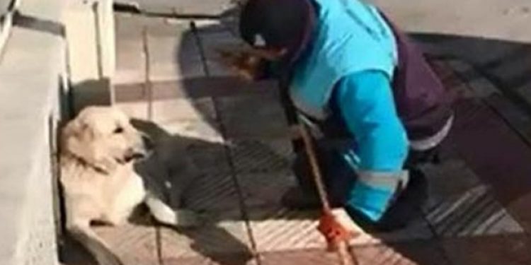 Sokak köpeğine şarkı söyleyen temizlik işçisi konuştu