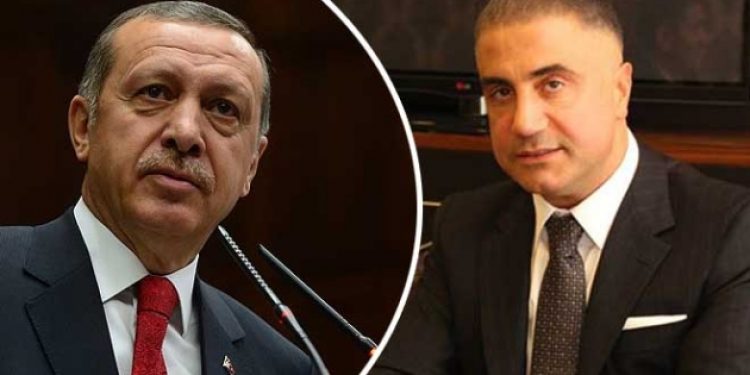 Avukat Aslı Kazan: Yeni KHK’yla Sedat Peker’i de aklıyorlar