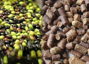 ‘TSK’da at etinden sonra küspe yağı skandalı’ iddiası