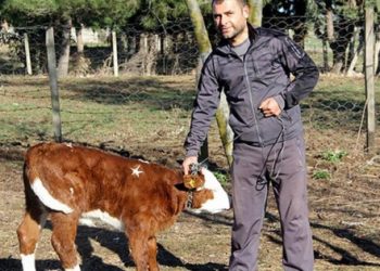 Samsunlu ‘Ay’ 1 milyon dolar!