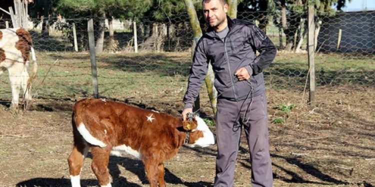 Samsunlu ‘Ay’ 1 milyon dolar!