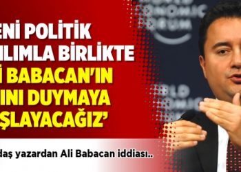 Yandaş yazardan Ali Babacan iddiası