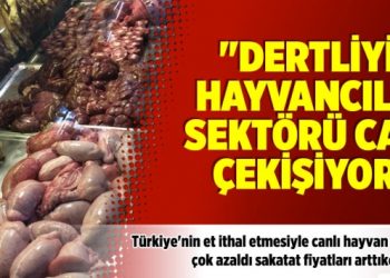 “Dertliyiz, hayvancılık sektörü can çekişiyor!”