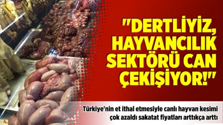 “Dertliyiz, hayvancılık sektörü can çekişiyor!”