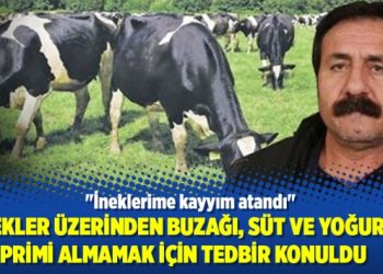 ​”İneklerime kayyım atandı”