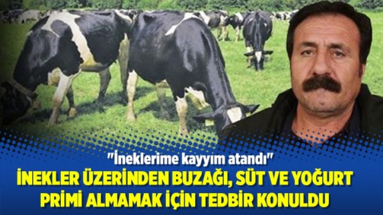 ”İneklerime kayyım atandı”